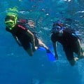 snorkeling tips on a cruise