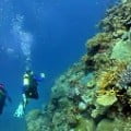 scuba diving caribbean