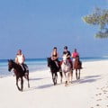 horseback-riding on cruise caribbean