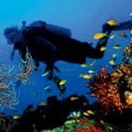 scuba diving cruise