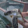 IMG_20120919_090009