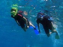 snorkeling tips on a cruise