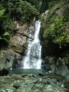 El Yunque Rainforest Waterfall