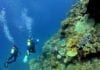 scuba diving caribbean