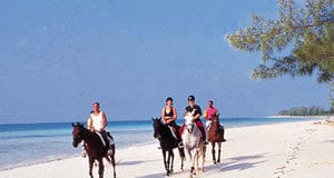 horseback-riding on cruise caribbean