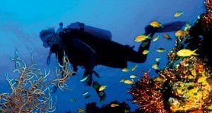 scuba diving cruise