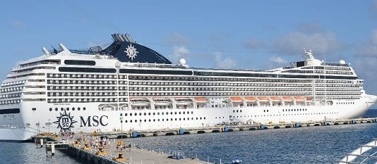 msc poesia