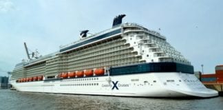 Celebrity cruises will be hosting a Patriot fan cruise