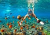 best caribbean islands for snorkeling