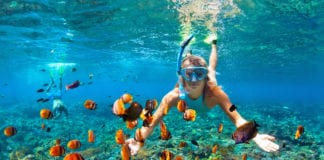 best caribbean islands for snorkeling