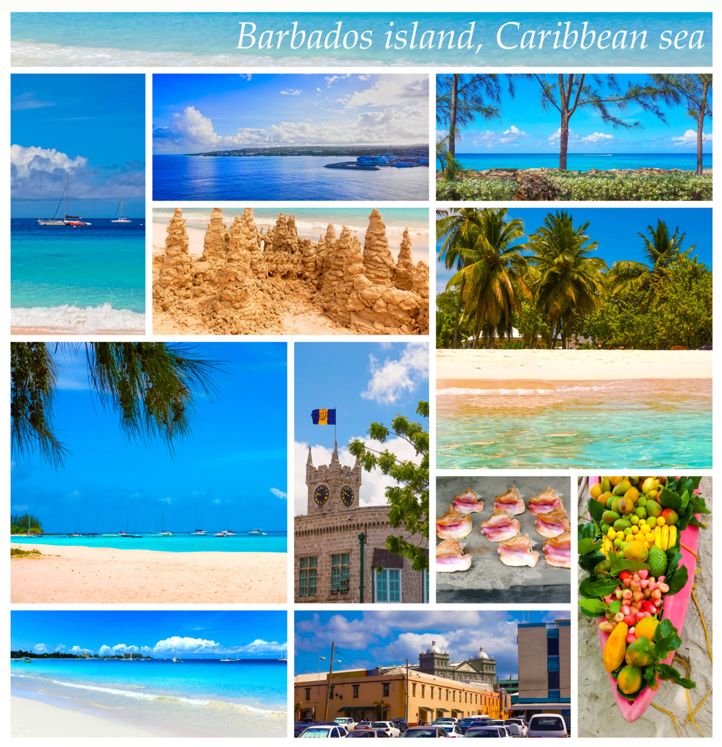 Barbados shore excursions