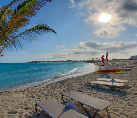 7 Reasons to Visit Ocean Cay – MSC Cruises’ Private Island ocean cay msc marine reserve