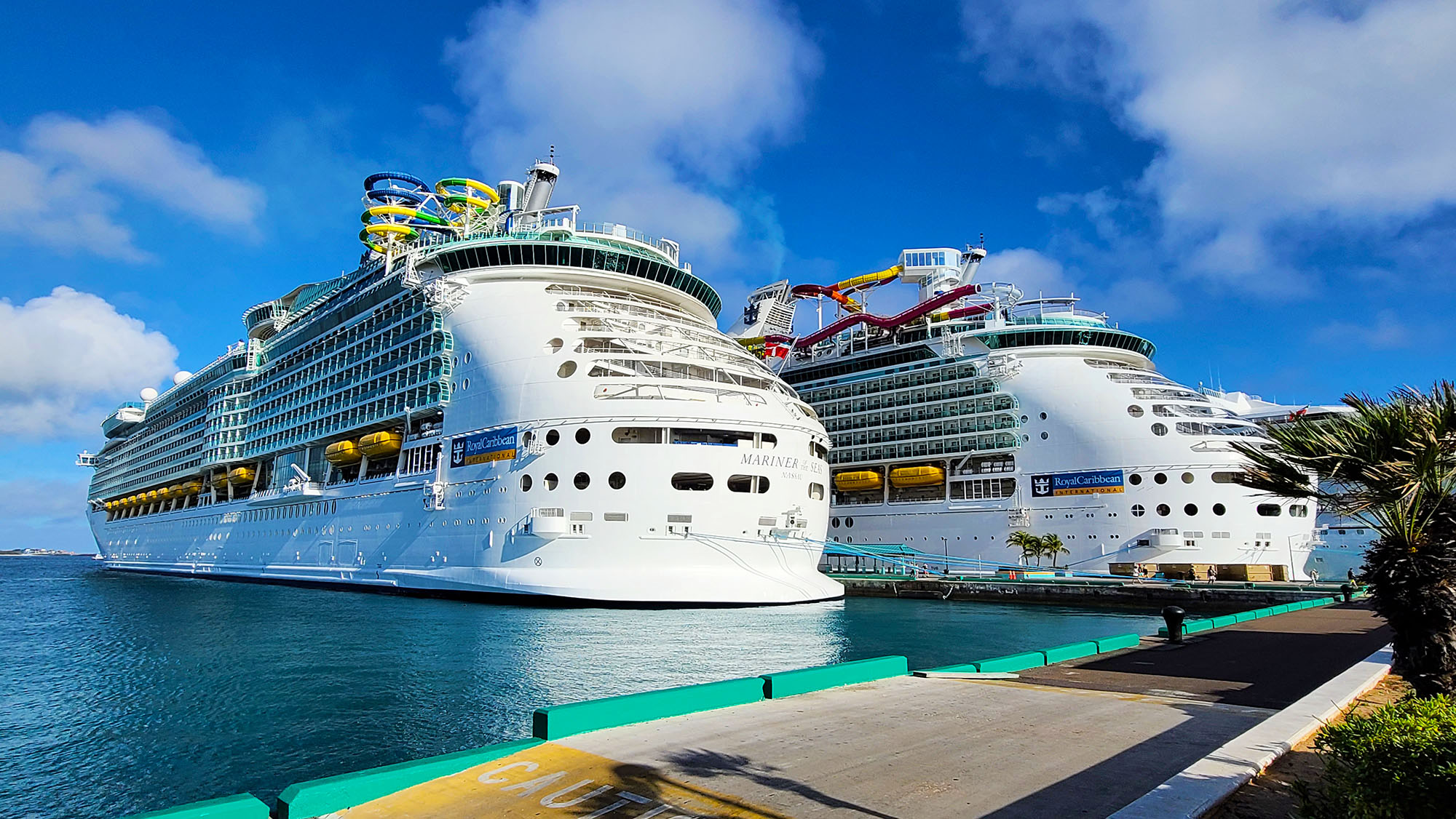 Royal Caribbean Cruise Ships That Offer Pickleball