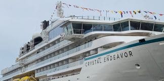 crystal endeavor