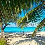 Discover Unforgettable Things to Do in Bimini, Bahamas