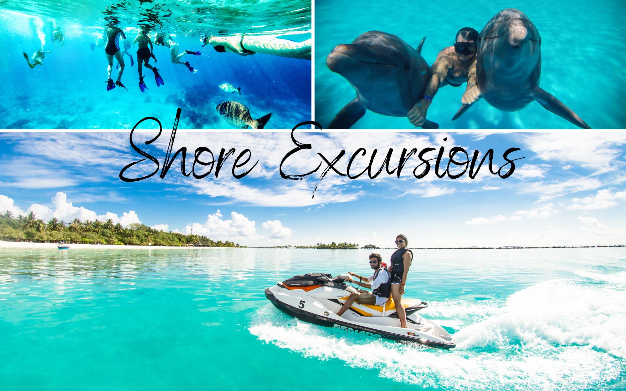 jet ski, swimming with dolphins and snorkeling