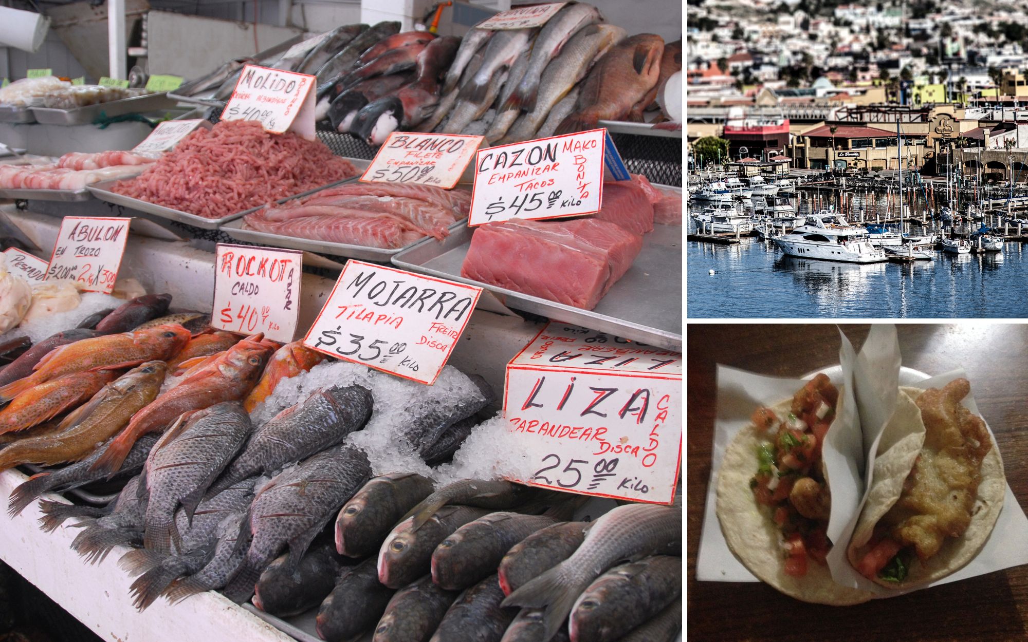 Mercado de Negro in Ensenada for fresh fish