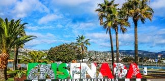 palm trees on sunny day near Ensenada sign by cruise port
