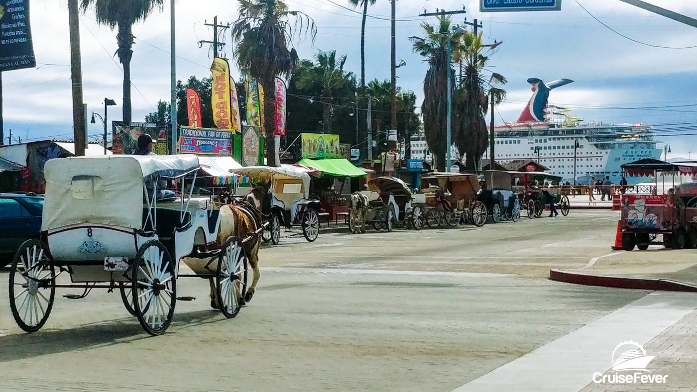 A horse-drawn carriage buggy in Ensenada