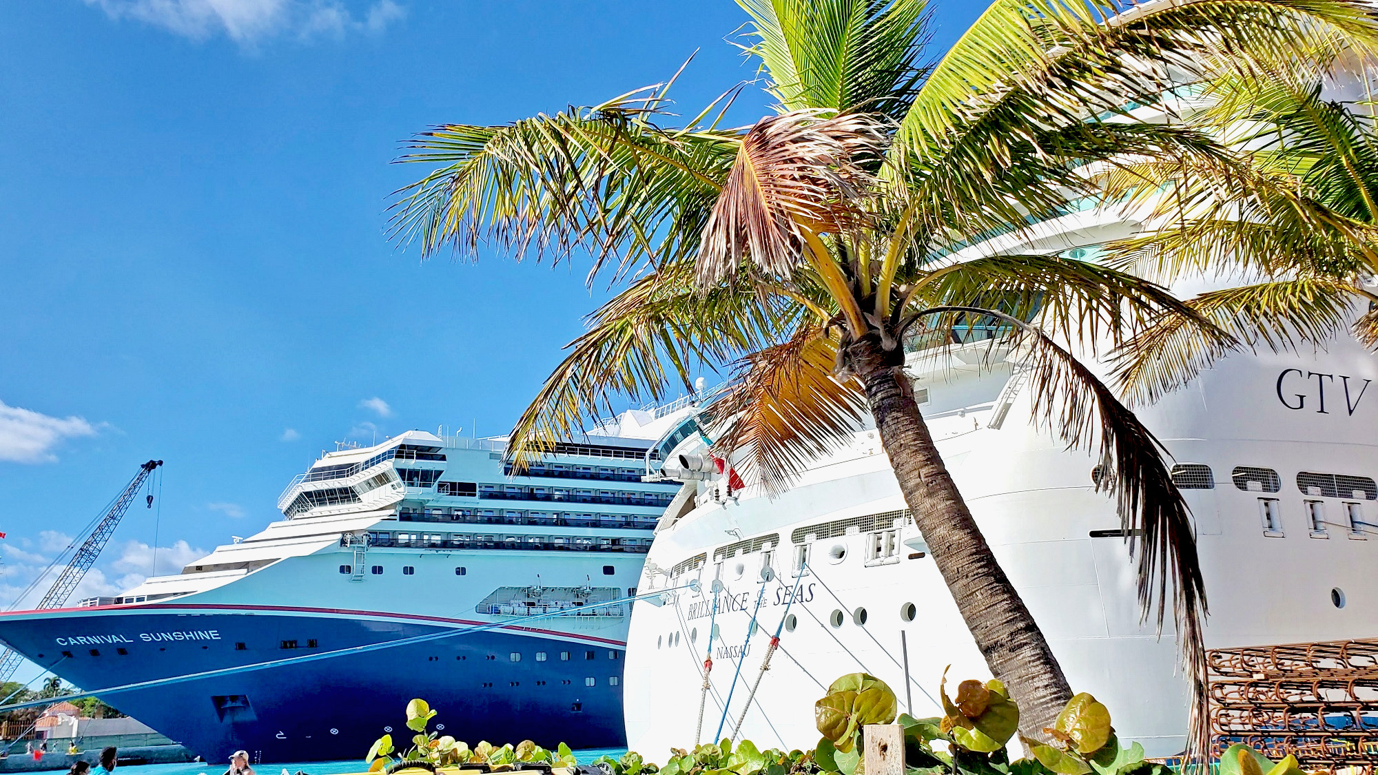 carnival sunshine and grandeur in port at Nassau with palm tree