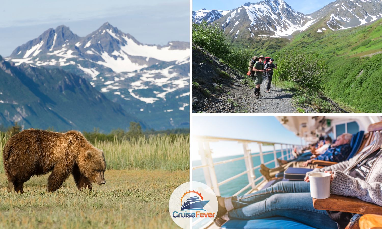 Grizzly bear and hiking trails in Alaska from cruise ship