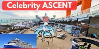 Celebrity ASCENT video tour