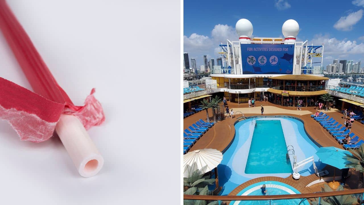 Carnival edible straws on cruise ships