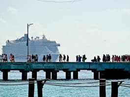 Image of cruise passengers walking along pier while MSC cruise ship comes in.