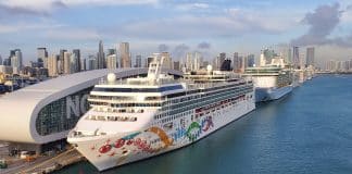 Row of Cruise ships in PortMiami