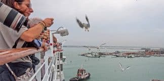 cruise passengers feeding seagulls