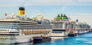 cruise ships docked in port