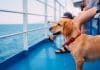 A cruise where you can bring your dog
