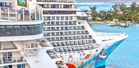 11 Cruise Ship Workers Arrested for CSAM and CSEM NCL