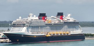 Disney Wish cruise ship