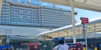 Carnival Celebration Terminal Miami Luggage Bags