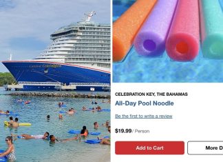 Pool Noodle Pricing Carnival Celebration Key