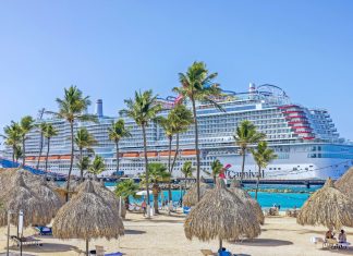 Carnival cruise ship pin port with palm trees and loungers