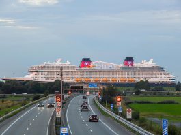 Disney Destiny