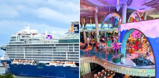 The Bazaar on Celebrity Xcel