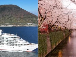 Mitsui Ocean cruises cherry blossom sailings
