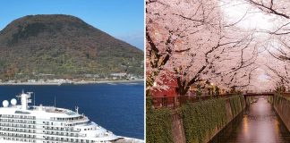 The Japanese Cruise Line That Schedules Sailings Around Cherry Blossoms (2026 Dates are Out) Mitsui Ocean cruises cherry blossom sailings