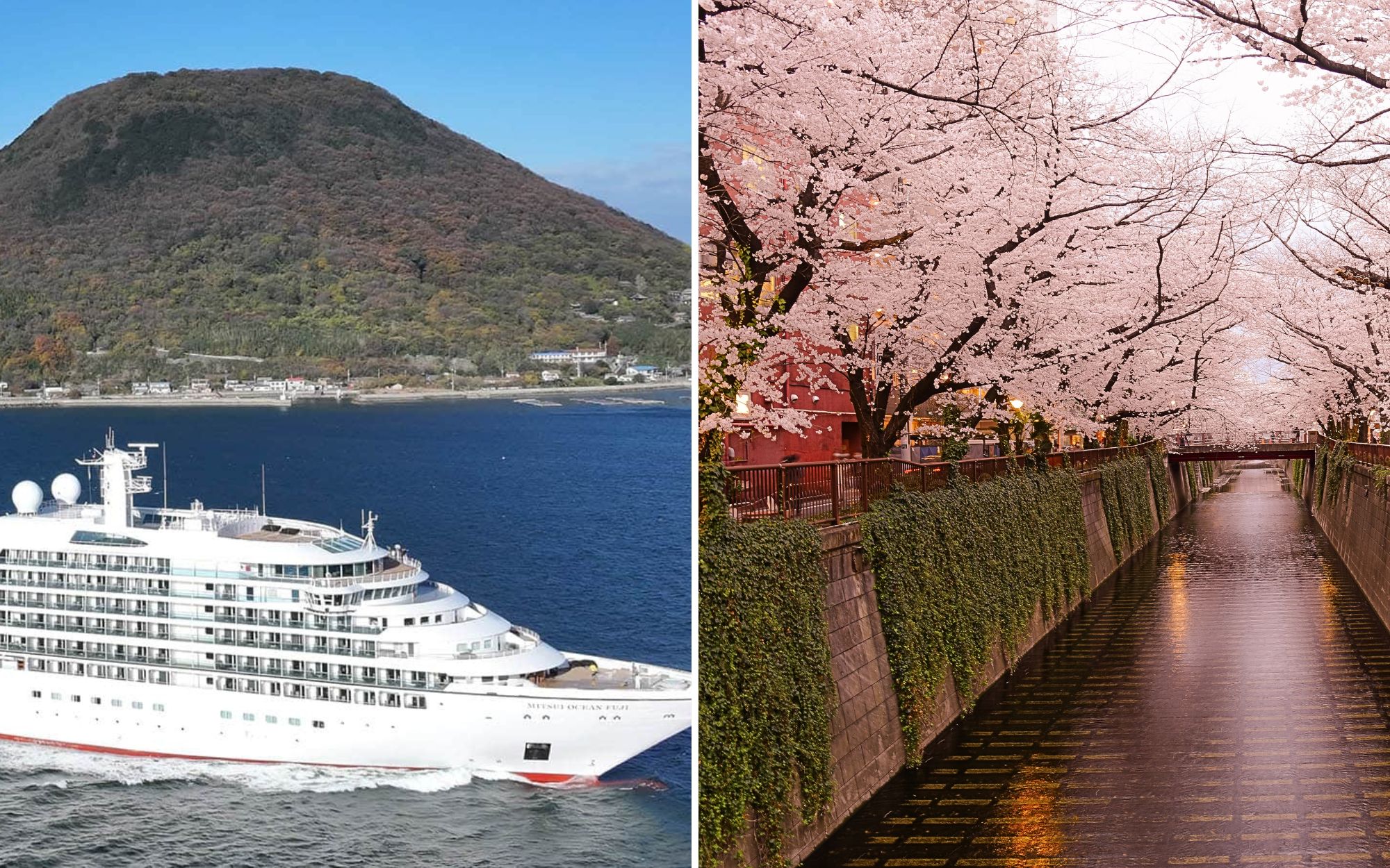 The Japanese Cruise Line That Schedules Sailings Around Cherry Blossoms (2026 Dates are Out)