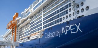 Celebrity Apex