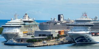 What Cruise Lines Are Offering for Black Friday 2025 cruise ships at Port Everglades