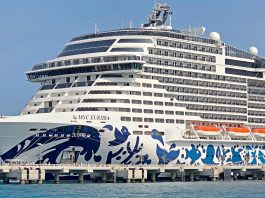 Massive Ship Order: MSC Cruises Commits $11.7 Billion for Four New 180,000 GT Ships (5,400 Capacity) MSC Euribia in port