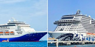 MSC Euribia and Celestyal Journey