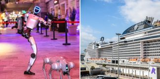 Robot dogs on MSC Bellissima