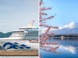 Princess cruises sending two ships to Japan