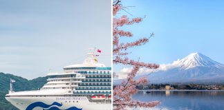 Princess cruises sending two ships to Japan