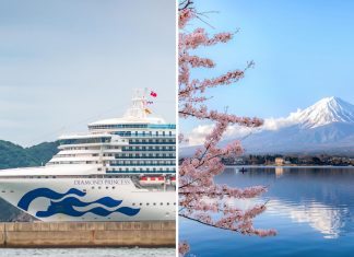 Princess cruises sending two ships to Japan